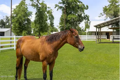 13935 Blue Springs Road, Youngstown, FL 32466 - Photo 61