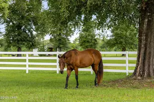 13935 Blue Springs Rd, Youngstown, FL 32466 - Photo 3