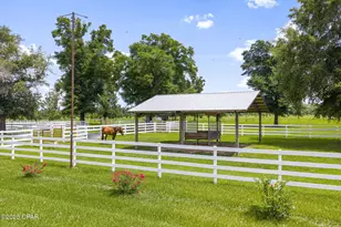 13935 Blue Springs Rd, Youngstown, FL 32466 - Photo 89