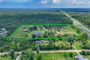 19618 Hwy 231, Fountain, FL 32438 - Photo 55