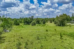 19618 Hwy 231, Fountain, FL 32438 - Photo 75