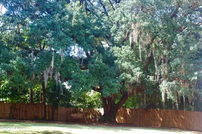 2945 Park Street, Marianna, FL 32446 - Photo 35