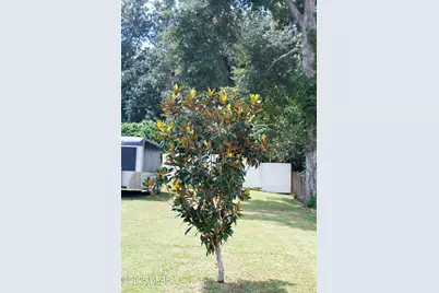 2945 Park Street, Marianna, FL 32446 - Photo 47