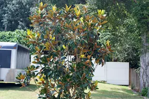 2945 Park St, Marianna, FL 32446 - Photo 47