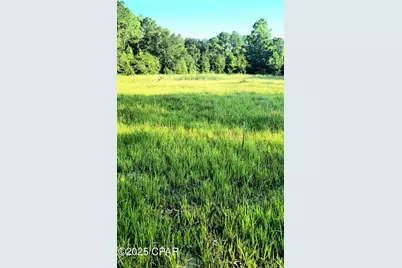 Parcel B Hwy 177A, Bonifay, FL 32425 - Photo 7