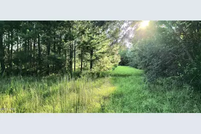 Parcel B Hwy 177A, Bonifay, FL 32425 - Photo 3