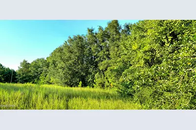 Parcel B Hwy 177A, Bonifay, FL 32425 - Photo 5