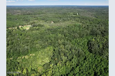 00 St Mary Road, Caryville, FL 32427 - Photo 5