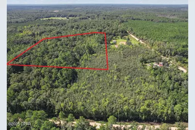 00 St Mary Road, Caryville, FL 32427 - Photo 3