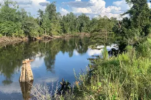 13537 NW Missy Ln, Clarksville, FL 32430 - Photo 45