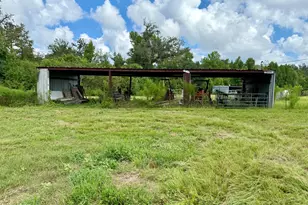 3560 Peanut Rd, Cottondale, FL 32431 - Photo 9