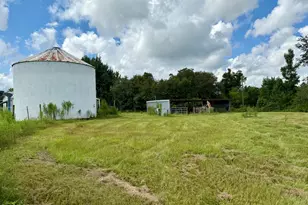 3560 Peanut Rd, Cottondale, FL 32431 - Photo 5