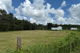 3560 Peanut Rd, Cottondale, FL 32431 - Photo 19