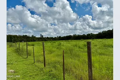 3560 Peanut Road, Cottondale, FL 32431 - Photo 13