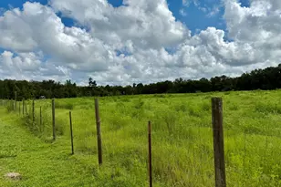 3560 Peanut Rd, Cottondale, FL 32431 - Photo 13