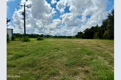 3560 Peanut Road, Cottondale, FL 32431 - Photo 7