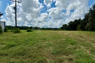 3560 Peanut Rd, Cottondale, FL 32431 - Photo 7