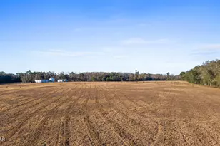 3560 Peanut Rd, Cottondale, FL 32431 - Photo 21