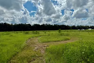 3560 Peanut Rd, Cottondale, FL 32431 - Photo 15