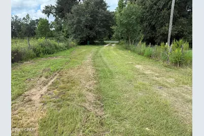 3560 Peanut Road, Cottondale, FL 32431 - Photo 17