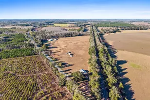 3560 Peanut Rd, Cottondale, FL 32431 - Photo 23