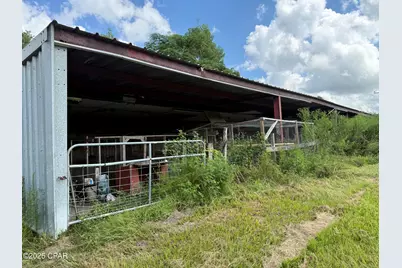 3560 Peanut Road, Cottondale, FL 32431 - Photo 3