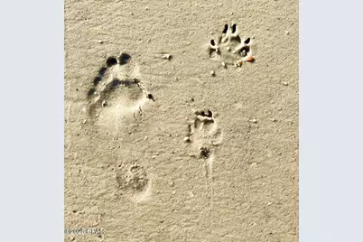 610 Tide Water Drive, Port Saint Joe, FL 32456 - Photo 17