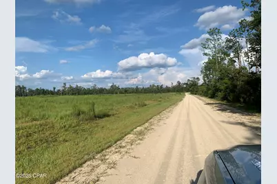 0000 Missy Lane, Clarksville, FL 32430 - Photo 1