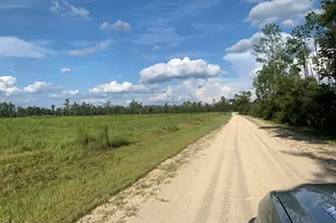 0000 Missy Ln, Clarksville, FL 32430 - Photo 1