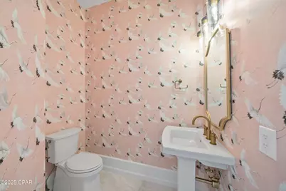 4 Jan Court, Inlet Beach, FL 32461 - Photo 47