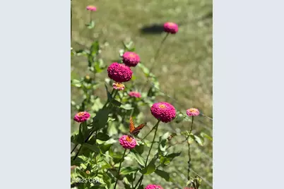 3380 Caverns Road, Marianna, FL 32446 - Photo 27