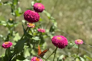 3380 Caverns Rd, Marianna, FL 32446 - Photo 27