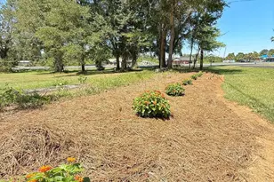 3380 Caverns Rd, Marianna, FL 32446 - Photo 37