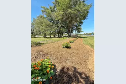 3380 Caverns Road, Marianna, FL 32446 - Photo 37