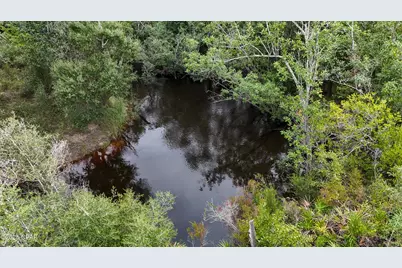 0 Jarrott Daniels Road, Wewahitchka, FL 32465 - Photo 9