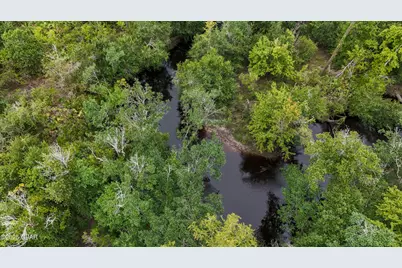 0 Jarrott Daniels Road, Wewahitchka, FL 32465 - Photo 15