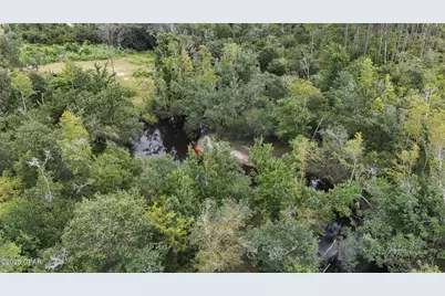 0 Jarrott Daniels Road, Wewahitchka, FL 32465 - Photo 11