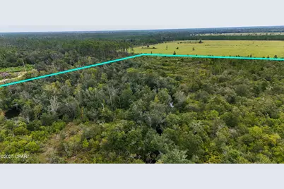 0 Jarrott Daniels Road, Wewahitchka, FL 32465 - Photo 19