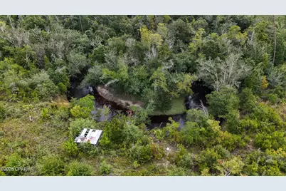 0 Jarrott Daniels Road, Wewahitchka, FL 32465 - Photo 5