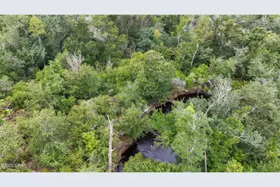 0 Jarrott Daniels Road, Wewahitchka, FL 32465 - Photo 13