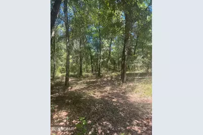 00 Dove Court, Chipley, FL 32428 - Photo 1