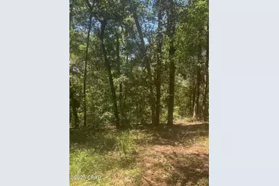 00 Dove Court, Chipley, FL 32428 - Photo 3