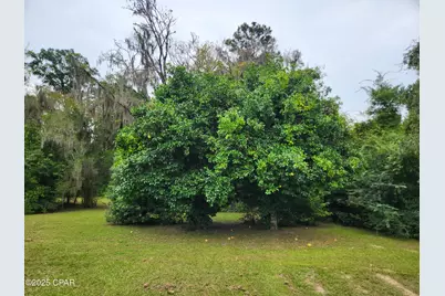 13352 NW County Road 12, Bristol, FL 32321 - Photo 19