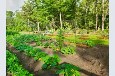 3130 Magnolia Drive, Chipley, FL 32428 - Photo 75