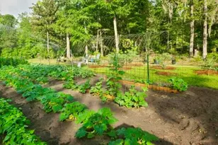 3130 Magnolia Dr, Chipley, FL 32428 - Photo 75