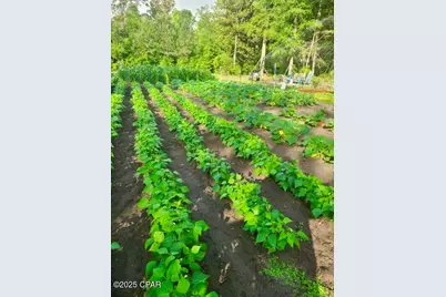 3130 Magnolia Drive, Chipley, FL 32428 - Photo 73