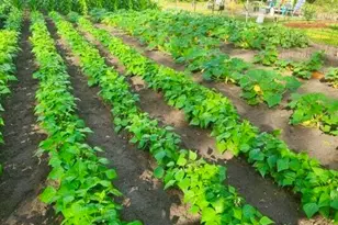 3130 Magnolia Dr, Chipley, FL 32428 - Photo 73