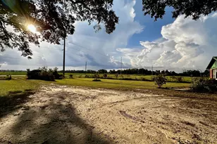 4170 Wintergreen Rd, Greenwood, FL 32443 - Photo 5