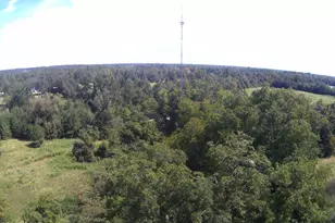 2634 Sandy Rd, Marianna, FL 32448 - Photo 31