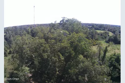 2634 Sandy Road, Marianna, FL 32448 - Photo 29